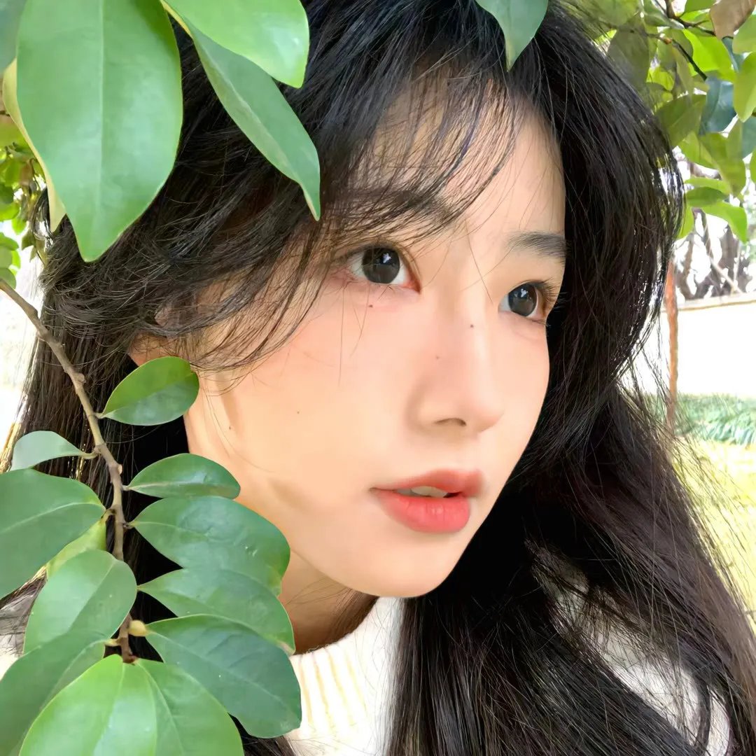 谎言背后