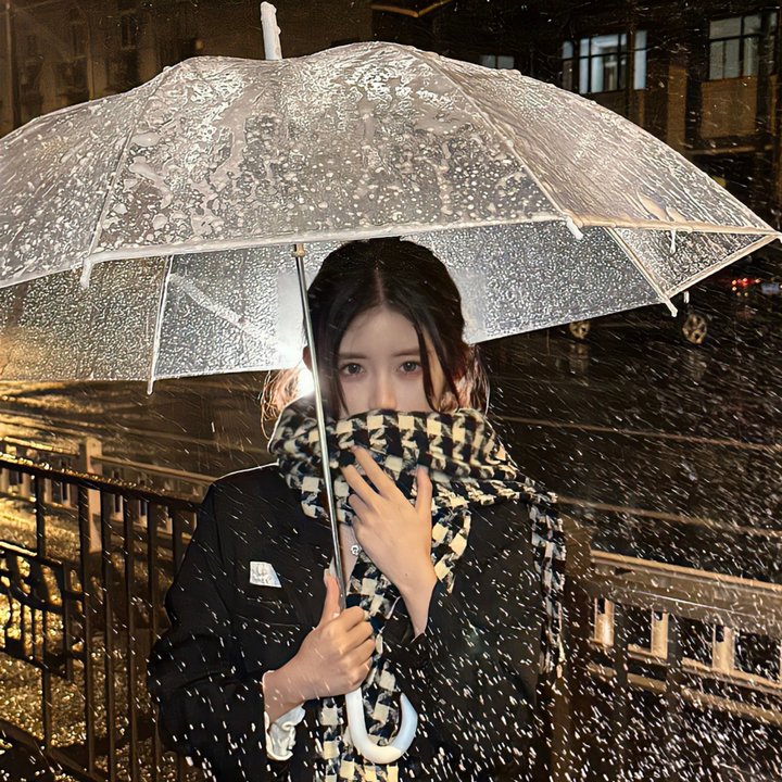 龙城谜案